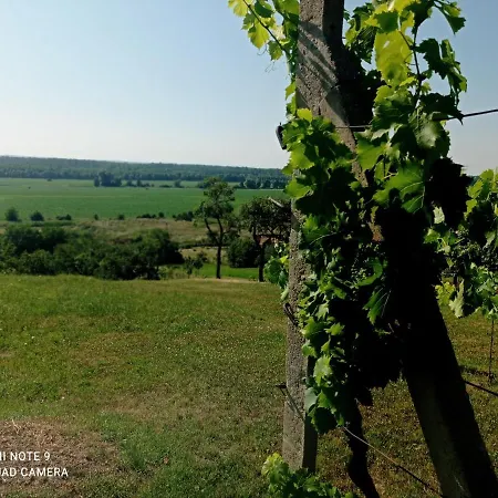 Holiday home V Soukromi U Jarusky Na Morave *