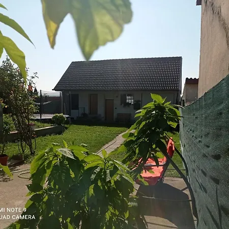 V Soukromi U Jarusky Na Morave